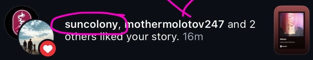 Instagram notification showing suncolony liked Leah’s story